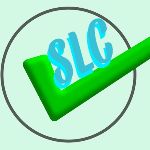 Selenium  Testing Course icon