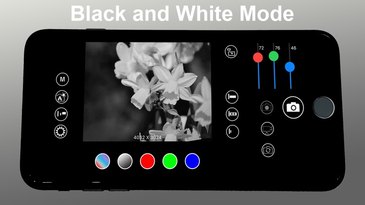 Silver B&W Camera