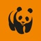 In the WWF Youth Community, you can easily get involved in nature conservation and environmental protection