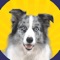 Icon Real Pets™ by Fruwee