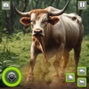 Angry Bull Attack Fight Game icon