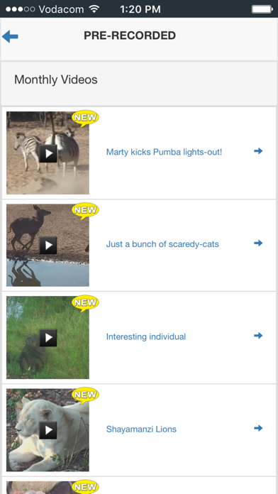 Leopard.tv Wildlife magazine Screenshot