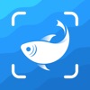 Icon Picture Fish - Fish Identifier