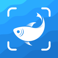 Picture Fish - تحديد الأسماك