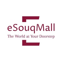 eSouqMall logo