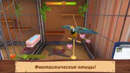 Game screenshot Pet World - приют для животных apk