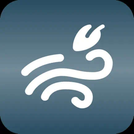 Breath: Daily Meditation Cheats