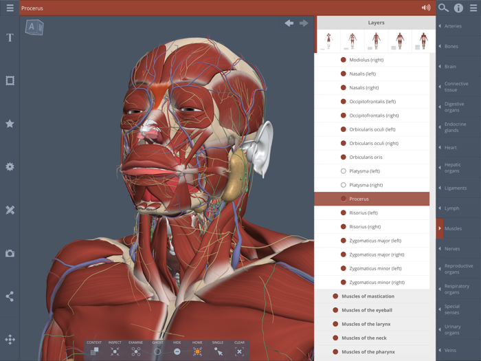 Primals 3D Whole body