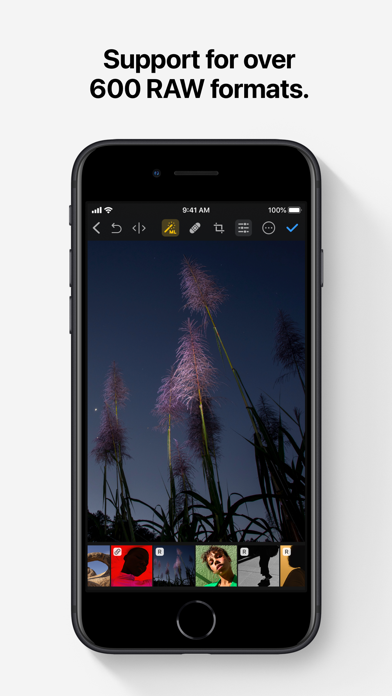 Photomator – Photo Editor Screenshot