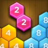 Hexa Number Puzzle icon