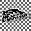 White Taxi