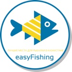 Download Easy Fishing app
