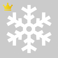 Snow Removal Pro App