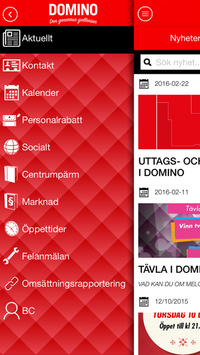 Galleria DOMINO Intern Screenshot