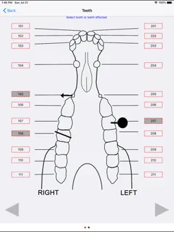 EVA: Equine Forms screenshot 14
