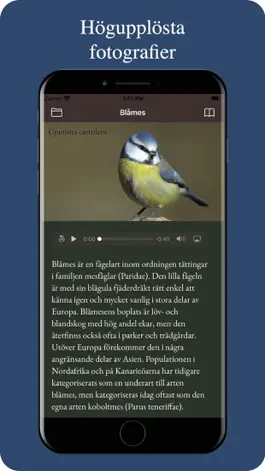 Game screenshot Våra fåglar hack