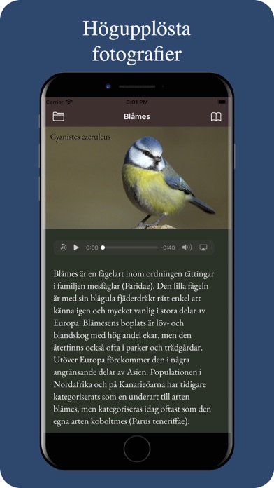 Våra fåglar Screenshot