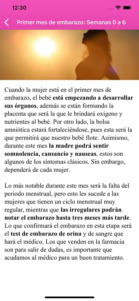 Calculadora de Embarazo Etapas