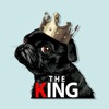 King Pug Stickers