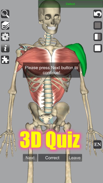 3D Bones and Muscles (Anatomy) Screenshot