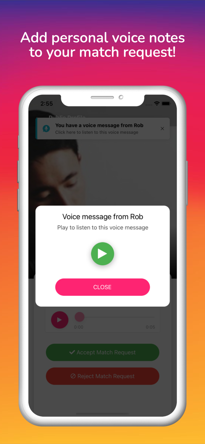 Holler Date Voice Dating