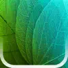 Plants Disease Identification App Delete