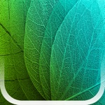Download Plants Disease Identification app
