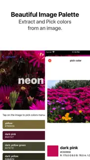 neon - color picker iphone screenshot 4