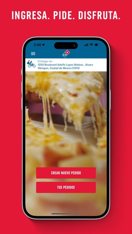 Domino's Pizza México