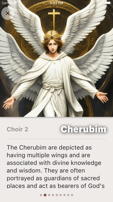 Nine Choirs Of Angels Screenshot