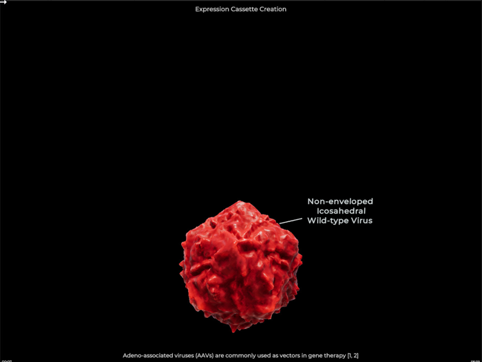 Turning Genes into Medicine