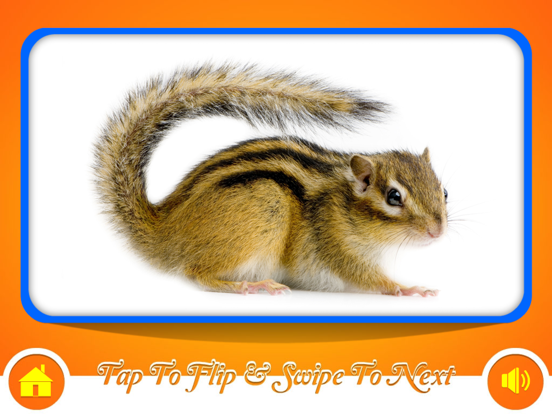 Screenshot #4 pour Flash Cards - Animals - HD