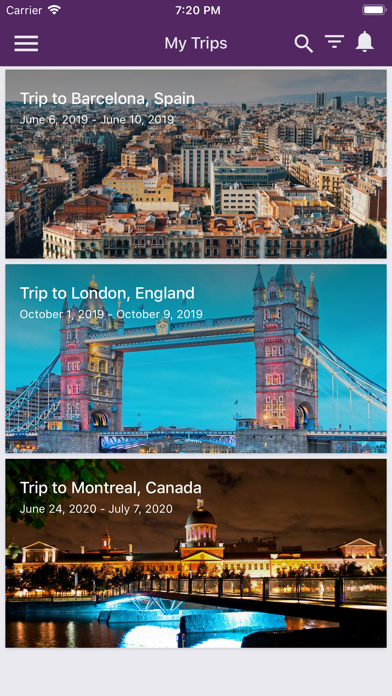 Travel Associates Screenshot