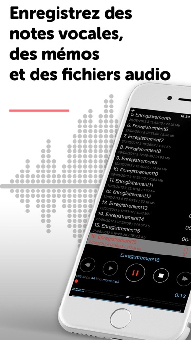 Screenshot #1 pour Dictaphone Enregistreur Audio