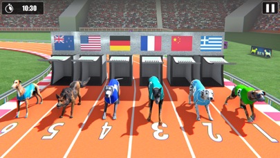 Dog Racing Championship Game Screenshot
