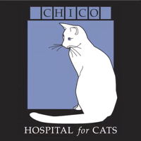 Chico Hospital for Cats