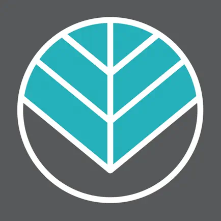 Reforming Indy Pilates Studio Читы