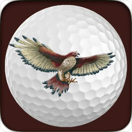 Shadow Hawk Golf Club Cheats