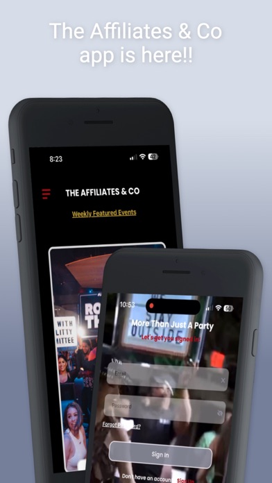 Affiliates & Co Screenshot