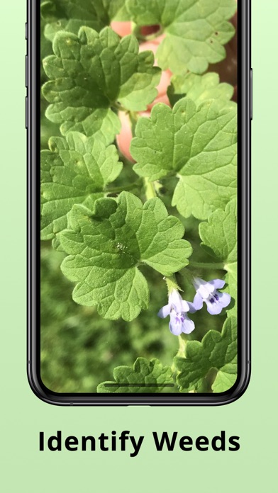 Plantion - Plant Identifier Screenshot