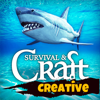 Survival & Craft: Creative - Duhnich Dmitrij