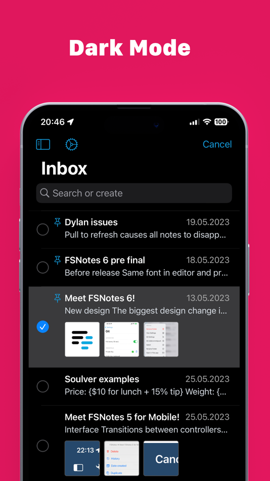 #2. FSNotes (iOS) 由: Oleksandr Hlushchenko