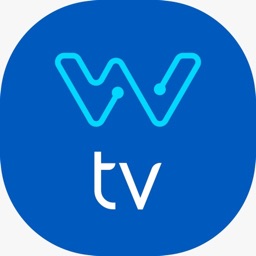 Netwise TV