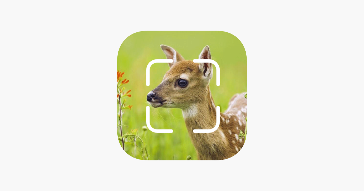 ‎TrailCam Go on the App Store