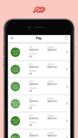 ADP Mobile Solutions iPhone Screenshot 2