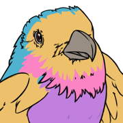 Birdle