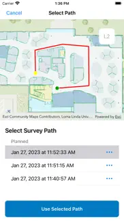 arcgis ips setup iphone screenshot 3