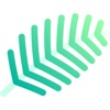 Maana icon