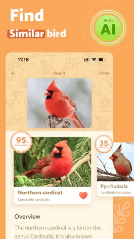 Game screenshot BirdScan - Identify Bird apk