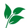 Singletree TV icon